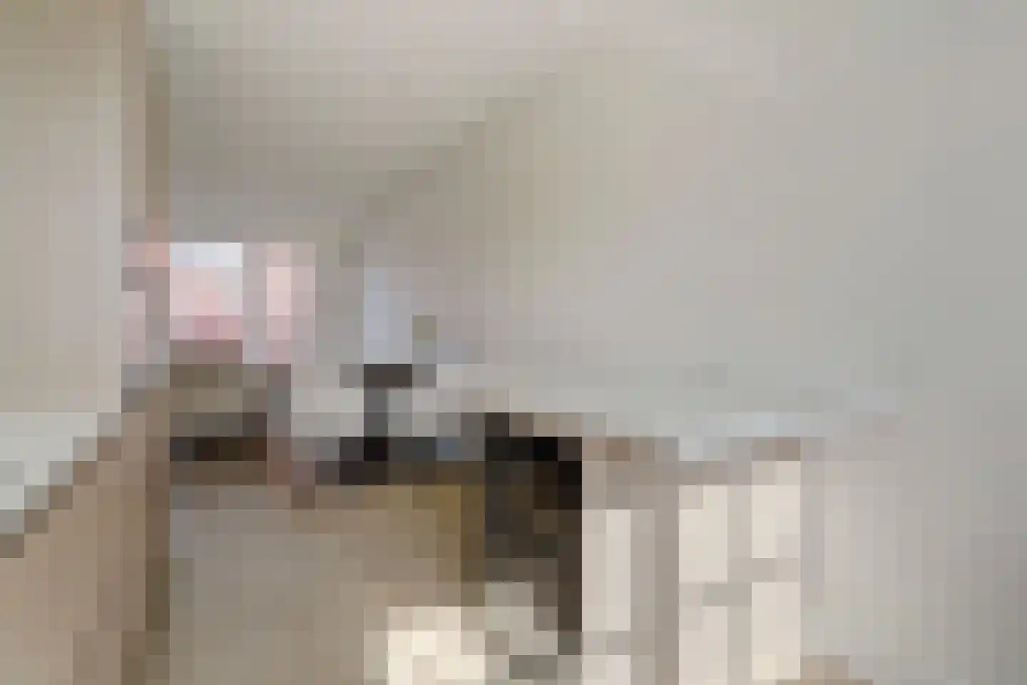 Olifantoortje 23 Tilburg thumbnail 15