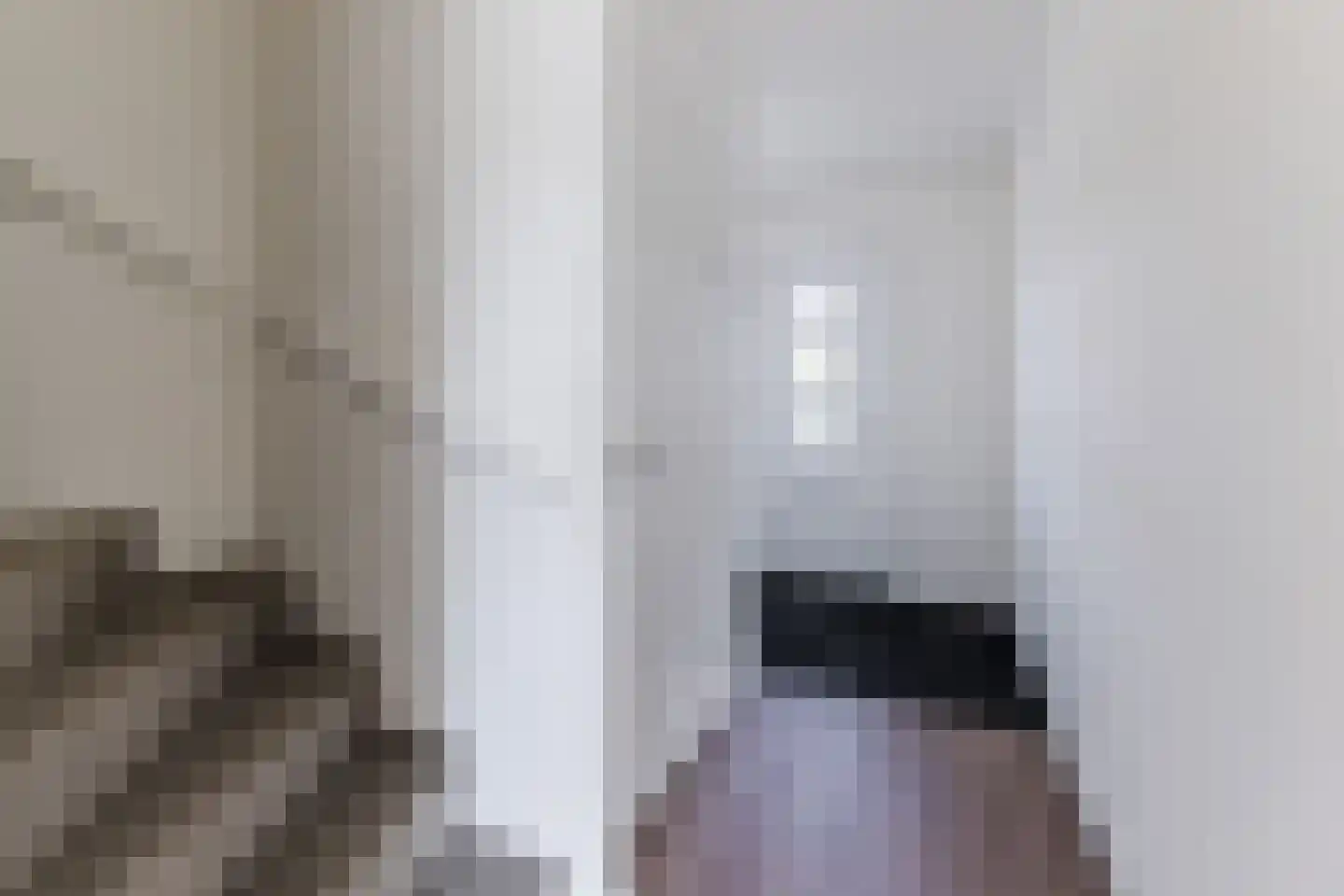Olifantoortje 29 Tilburg thumbnail 10