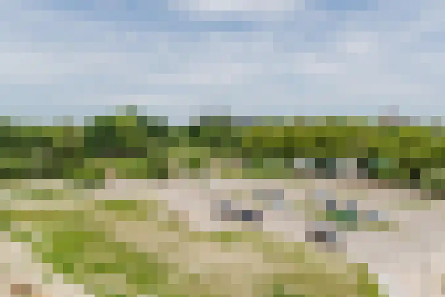 Olifantoortje 29 Tilburg thumbnail 34