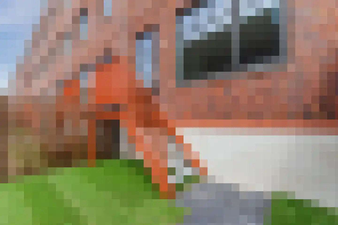 Olifantoortje 29 Tilburg thumbnail 38