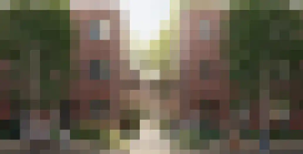 Olifantoortje 29 Tilburg thumbnail 46