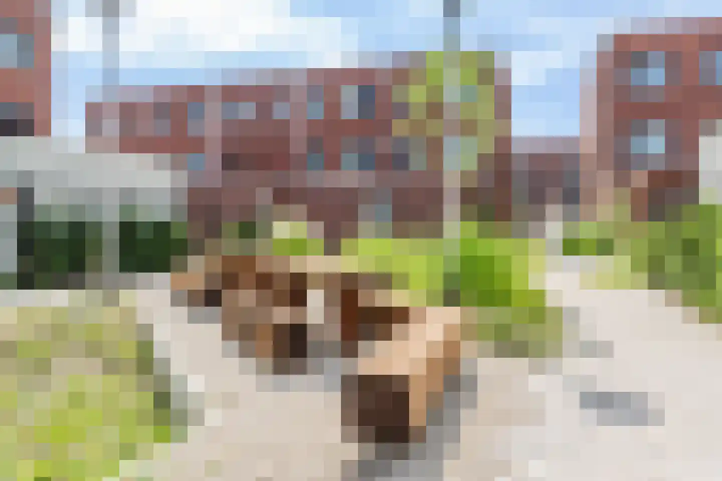 Olifantoortje 29 Tilburg thumbnail 47