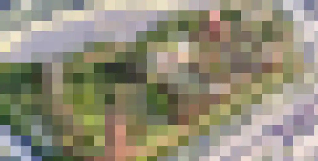 Olifantoortje 29 Tilburg thumbnail 47