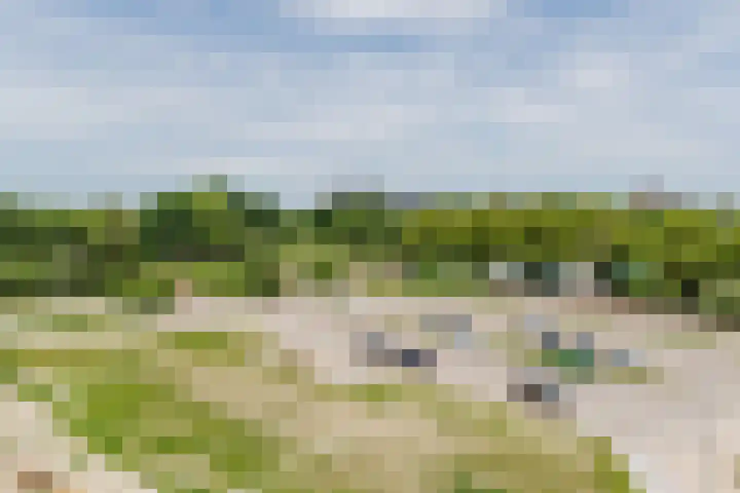 Olifantoortje 29 Tilburg thumbnail 48