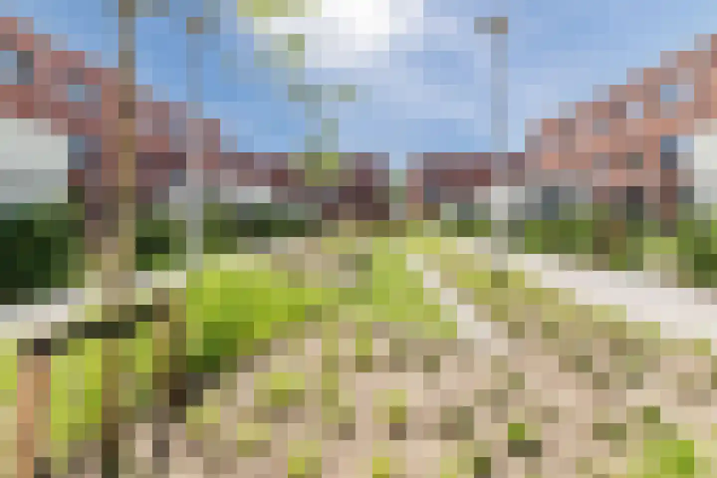 Olifantoortje 29 Tilburg thumbnail 49