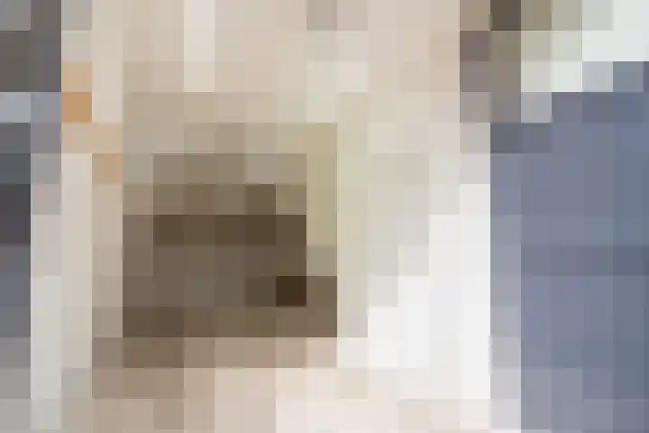 Olifantsteiger 10 Enkhuizen thumbnail 11