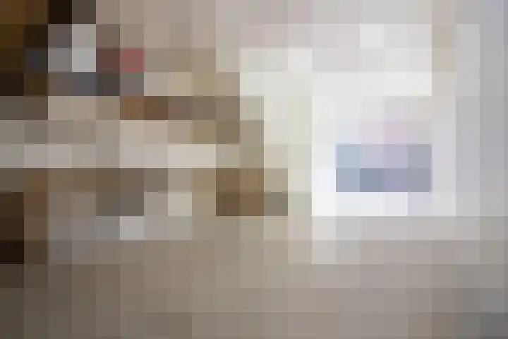 Olifantsteiger 10 Enkhuizen thumbnail 12
