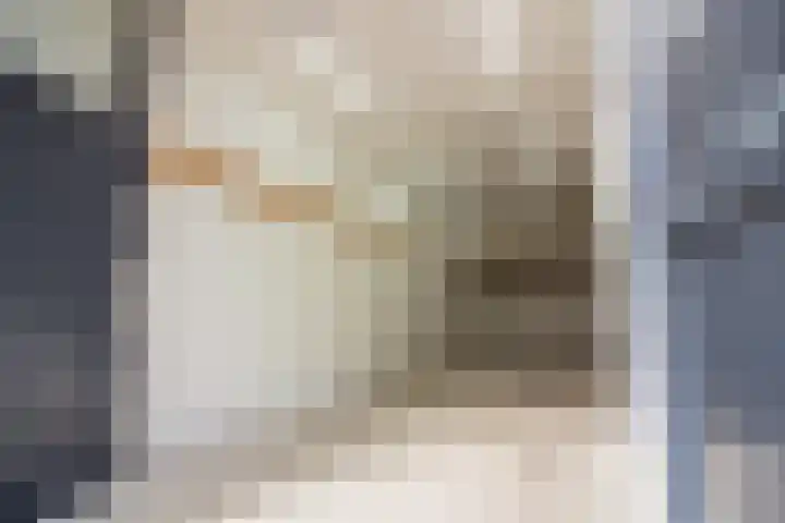 Olifantsteiger 10 Enkhuizen thumbnail 14