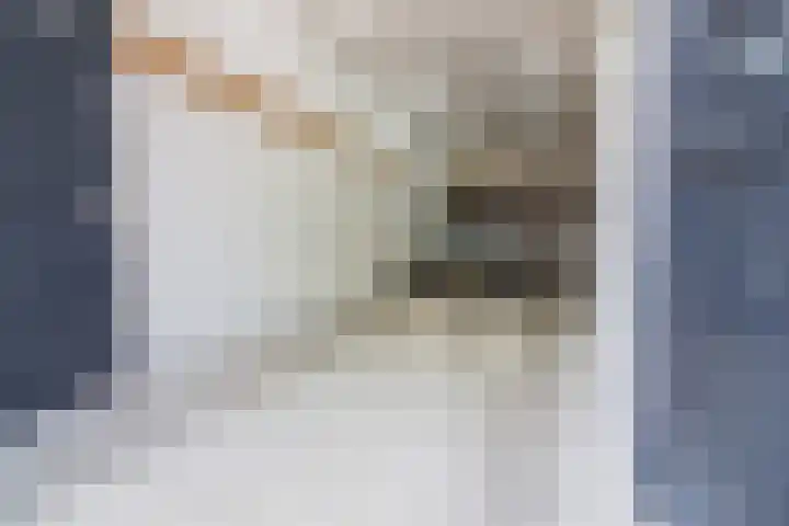 Olifantsteiger 10 Enkhuizen thumbnail 15