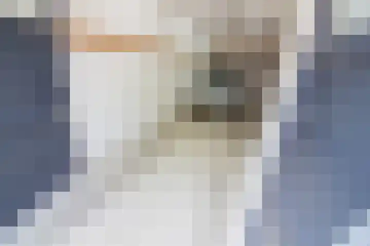 Olifantsteiger 10 Enkhuizen thumbnail 16