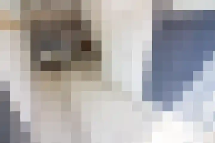 Olifantsteiger 10 Enkhuizen thumbnail 17
