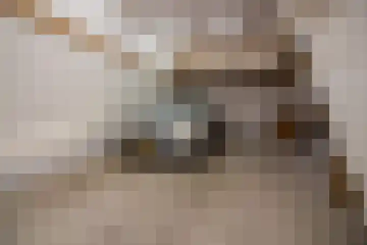 Olifantsteiger 10 Enkhuizen thumbnail 18