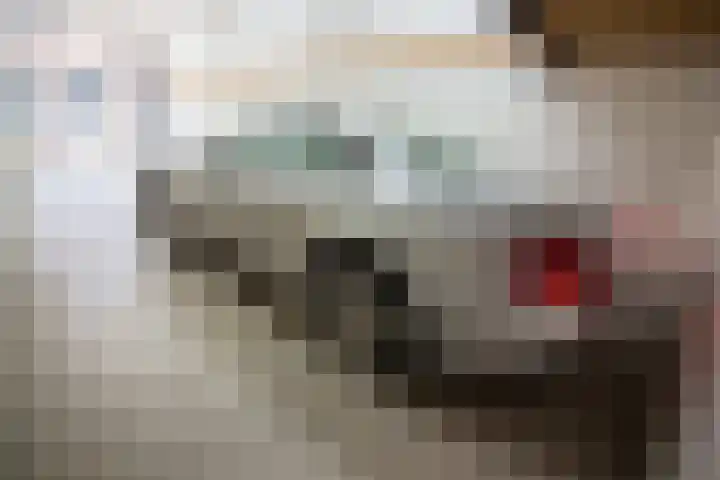 Olifantsteiger 10 Enkhuizen thumbnail 19