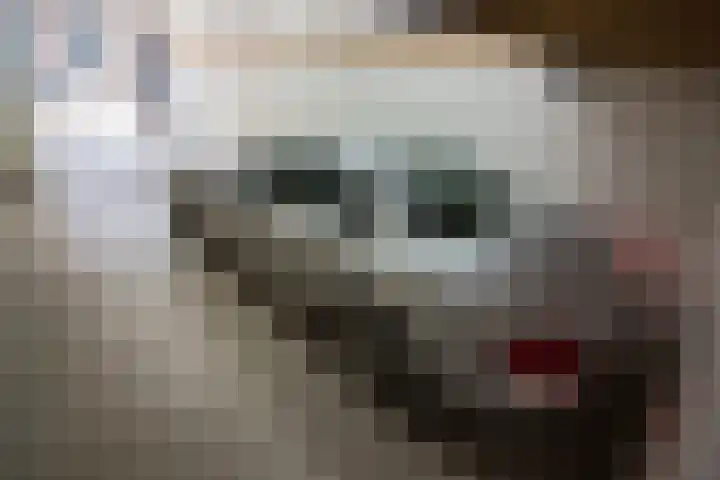 Olifantsteiger 10 Enkhuizen thumbnail 20