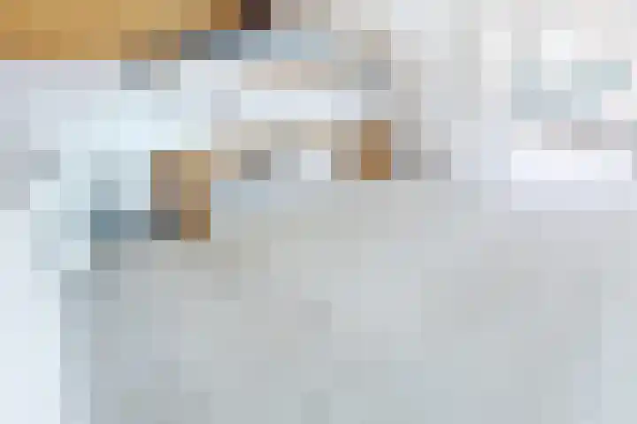 Olifantsteiger 10 Enkhuizen thumbnail 21