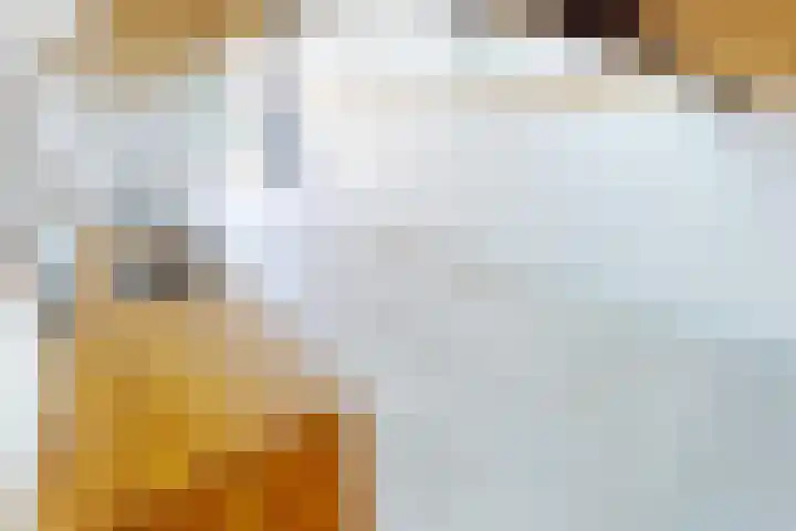 Olifantsteiger 10 Enkhuizen thumbnail 22