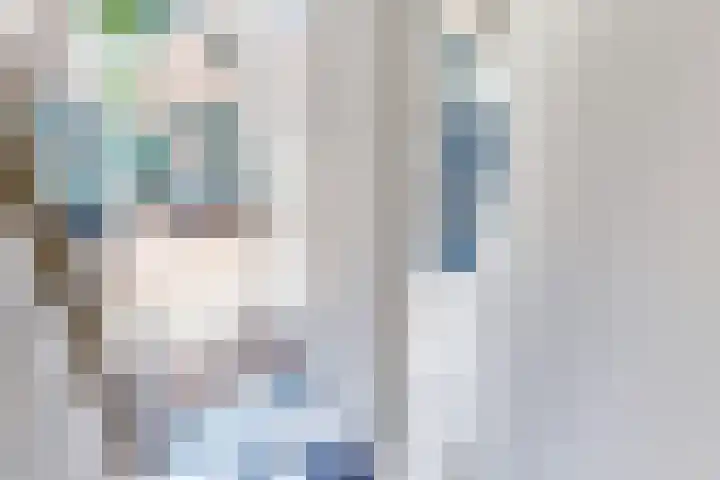 Olifantsteiger 10 Enkhuizen thumbnail 27