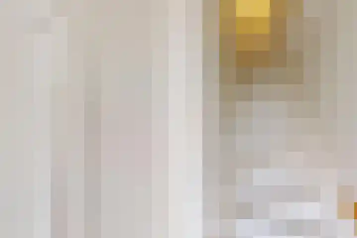 Olifantsteiger 10 Enkhuizen thumbnail 28