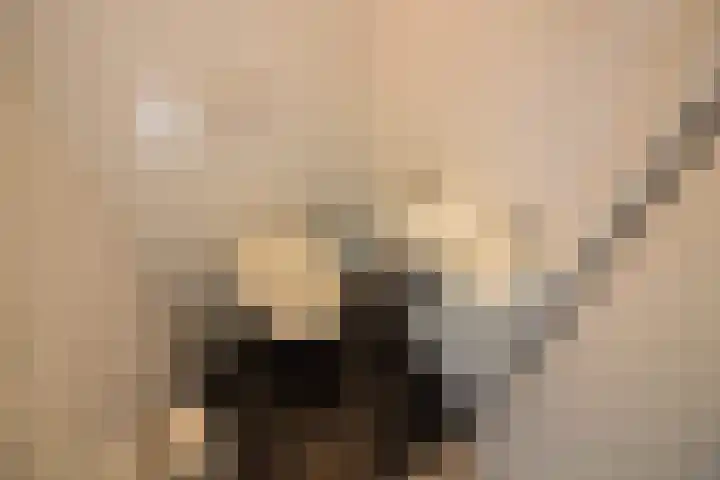 Olifantsteiger 10 Enkhuizen thumbnail 30