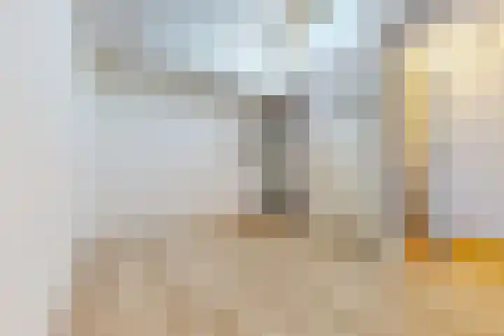 Olifantsteiger 10 Enkhuizen thumbnail 31