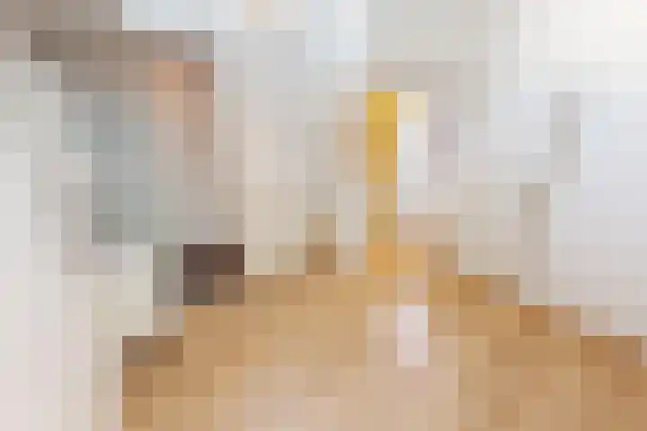 Olifantsteiger 10 Enkhuizen thumbnail 34