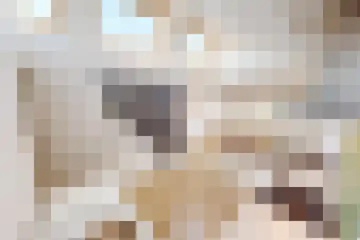Olifantsteiger 10 Enkhuizen thumbnail 43