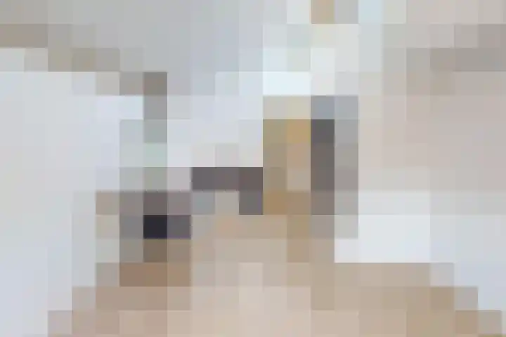 Olifantsteiger 10 Enkhuizen thumbnail 46