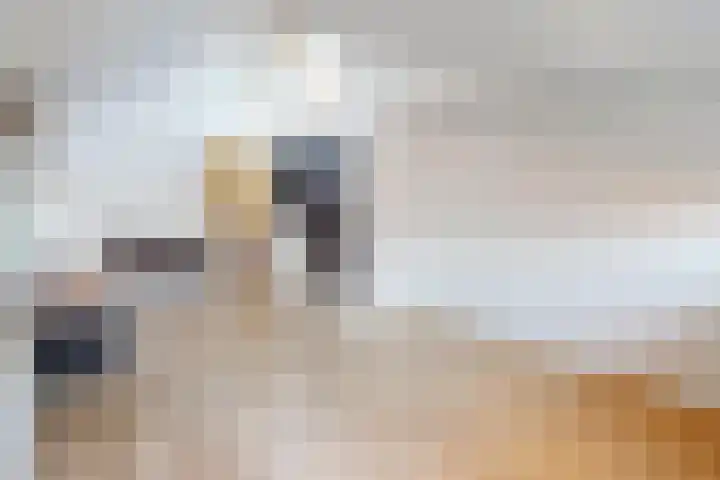 Olifantsteiger 10 Enkhuizen thumbnail 47