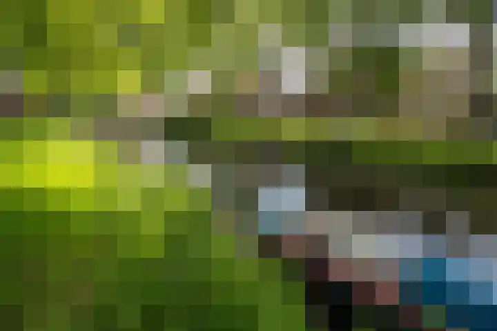 Olifantsteiger 10 Enkhuizen thumbnail 51