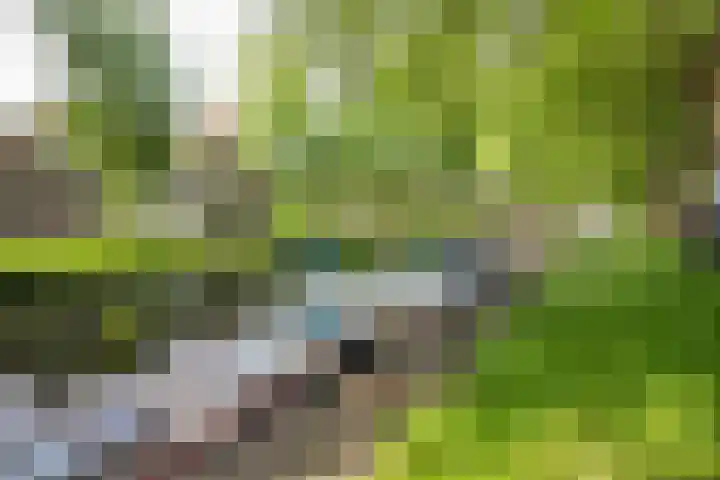 Olifantsteiger 10 Enkhuizen thumbnail 52