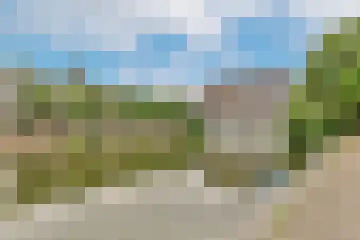 Olifantswerf 12 Amsterdam thumbnail 20