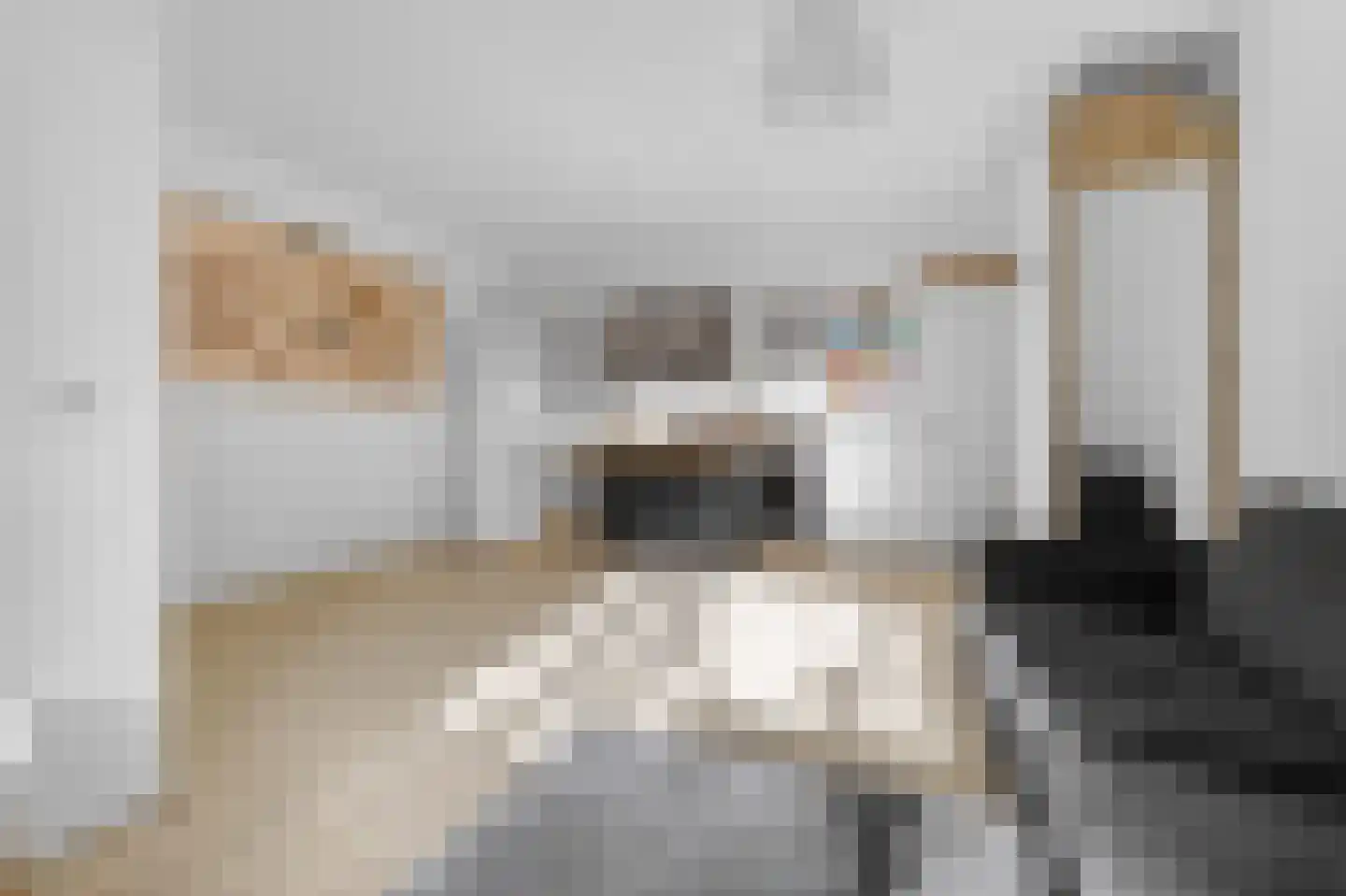 Olifantswerf 5 Amsterdam thumbnail 21