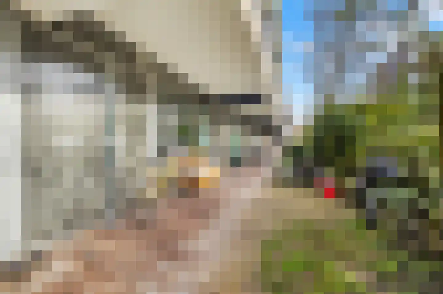 Olifantswerf 5 Amsterdam thumbnail 26