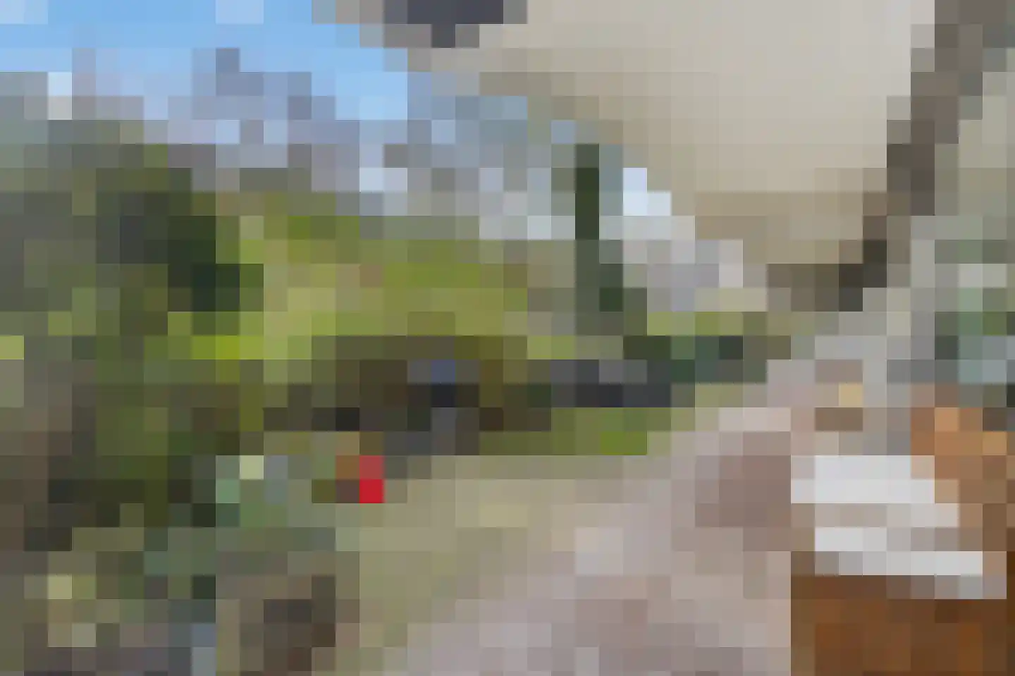Olifantswerf 5 Amsterdam thumbnail 28