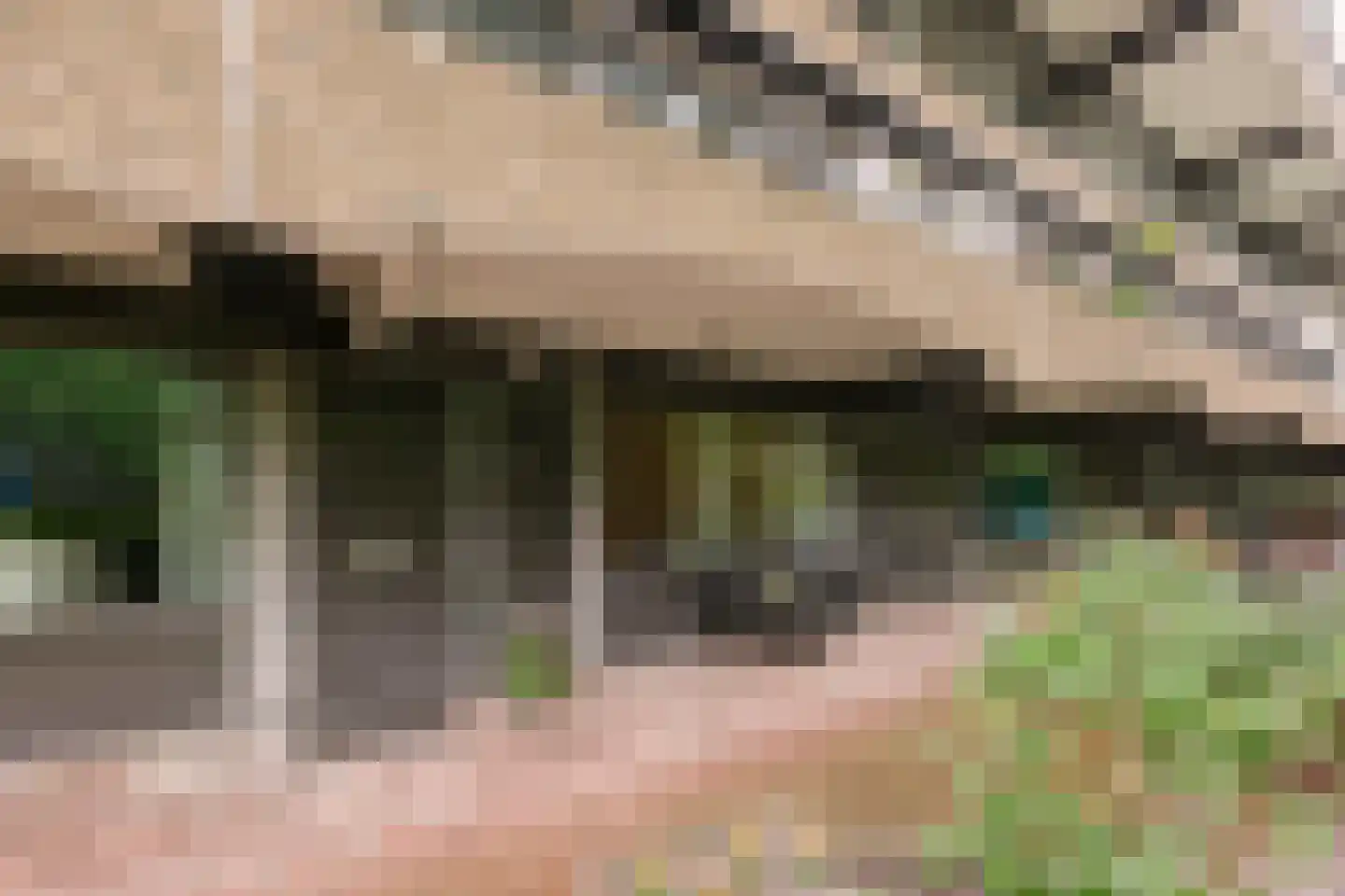 Olifantswerf 7 Amsterdam thumbnail 19