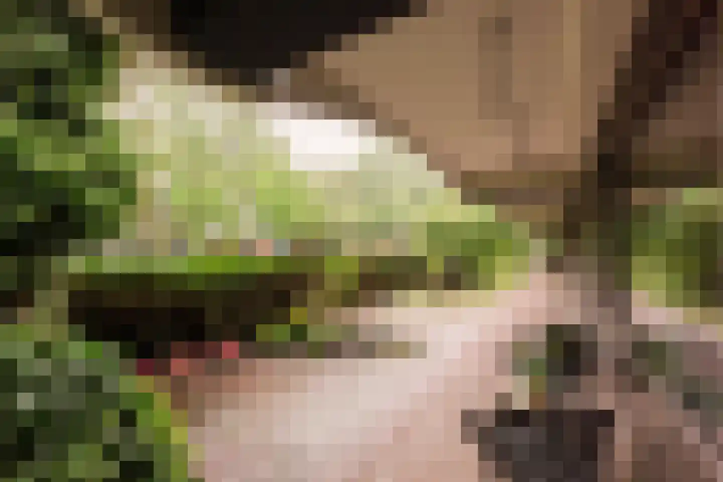Olifantswerf 7 Amsterdam thumbnail 21