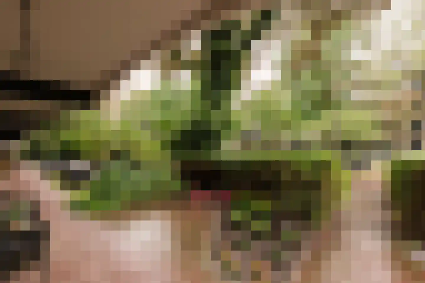Olifantswerf 7 Amsterdam thumbnail 22
