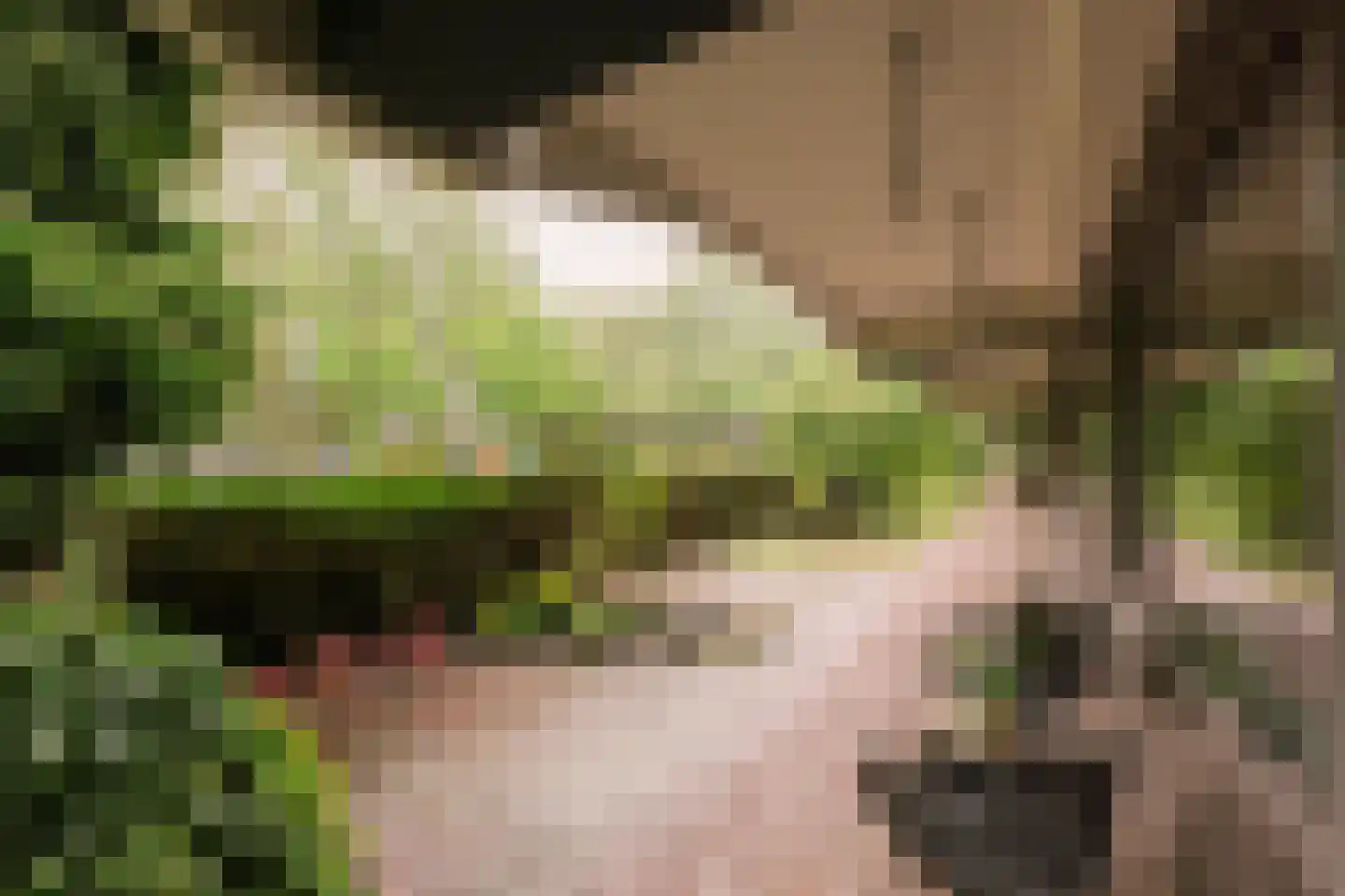 Olifantswerf 7 Amsterdam thumbnail 4