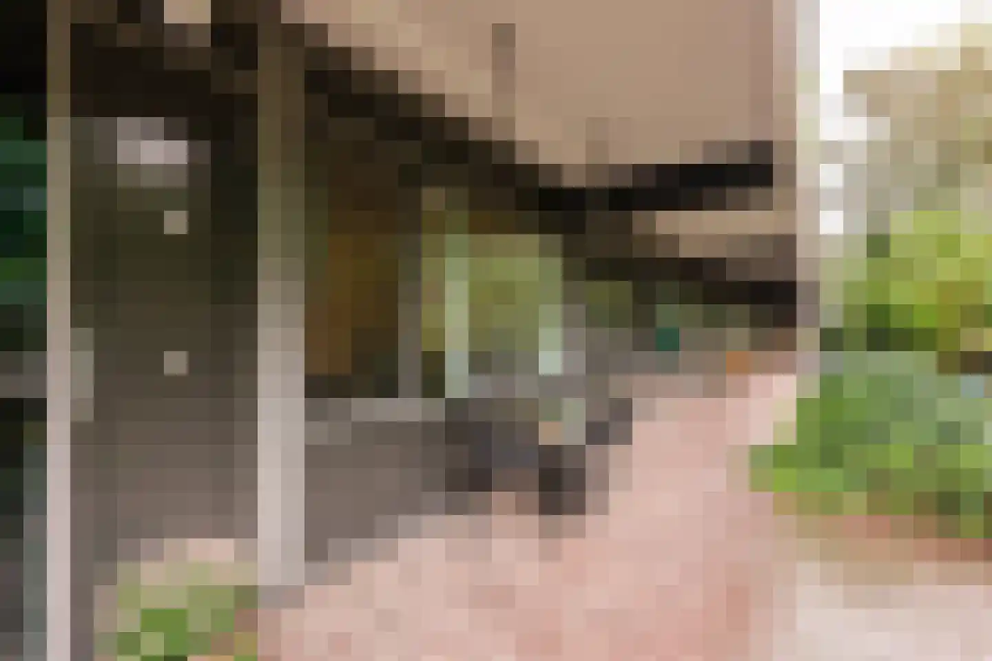 Olifantswerf 7 Amsterdam thumbnail 5