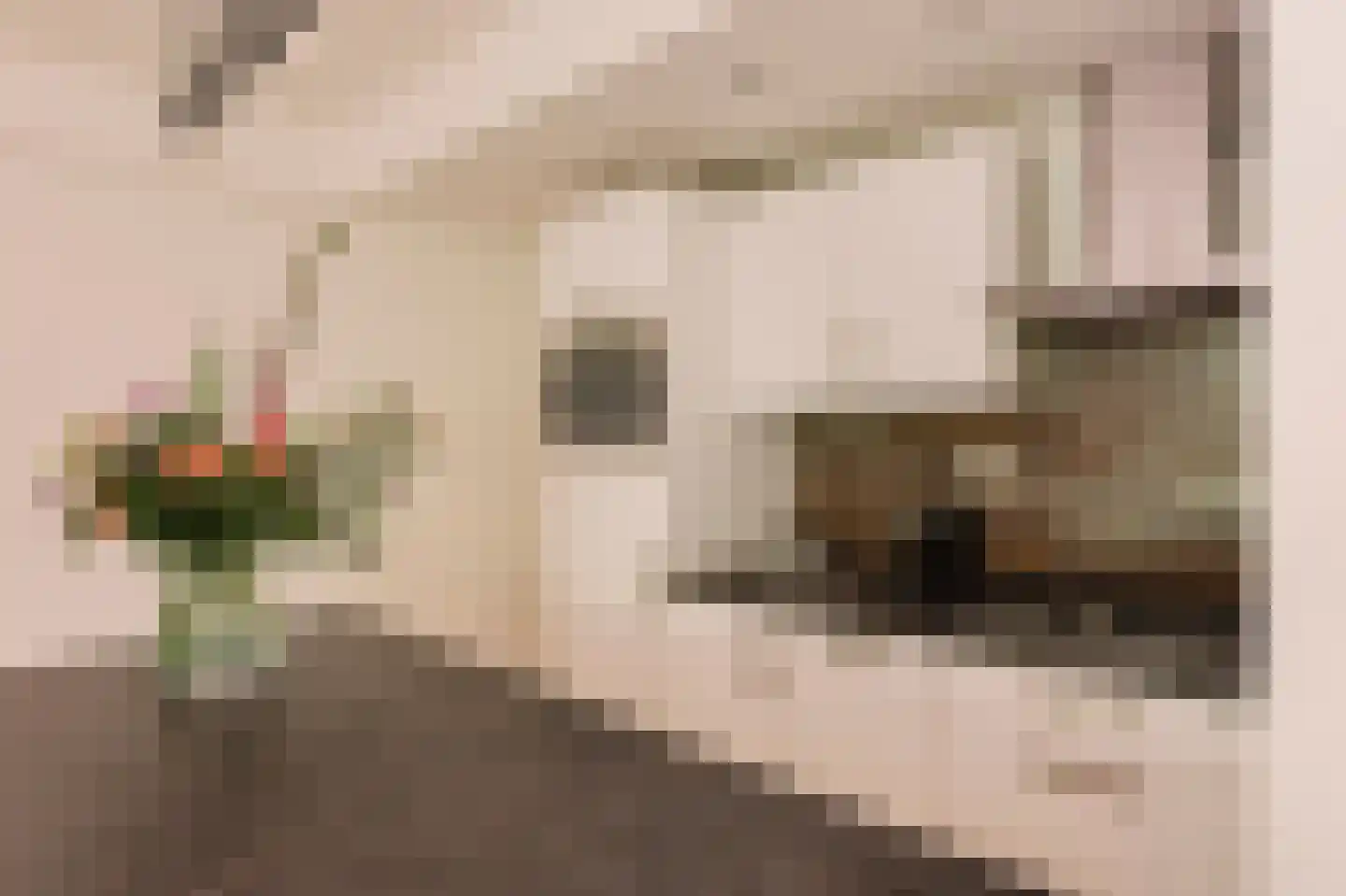 Olifantswerf 7 Amsterdam thumbnail 8