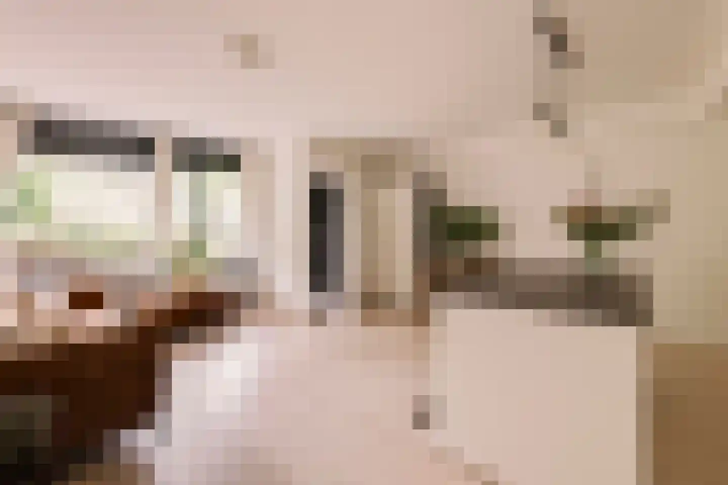 Olifantswerf 7 Amsterdam thumbnail 9