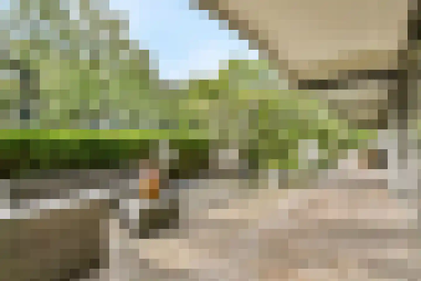 Olifantswerf 8 Amsterdam thumbnail 13