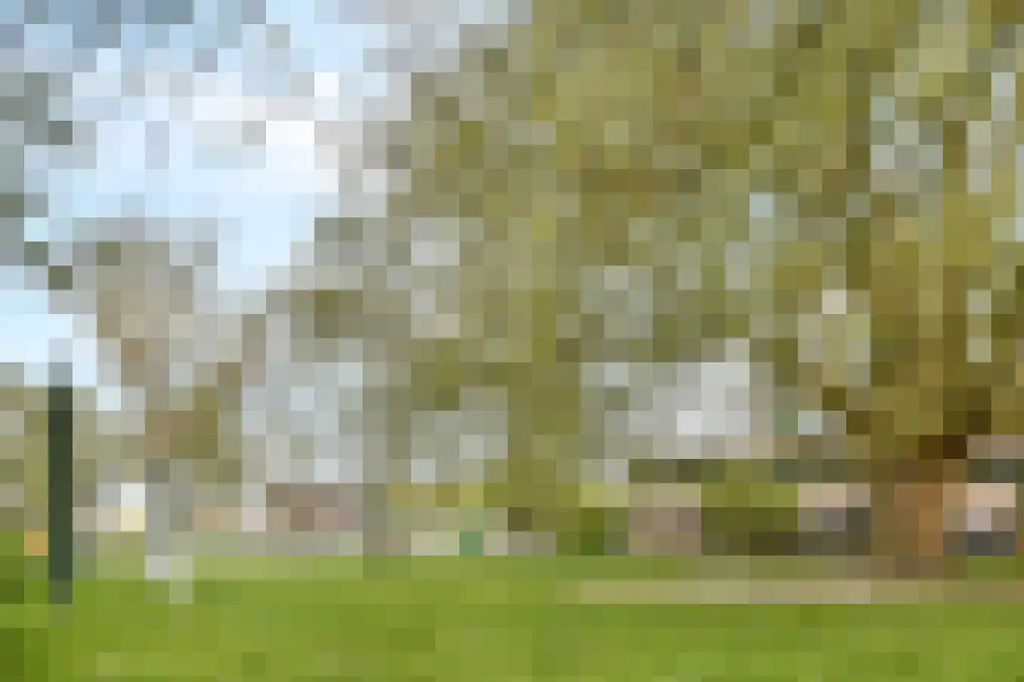 Olifantswerf 8 Amsterdam thumbnail 15