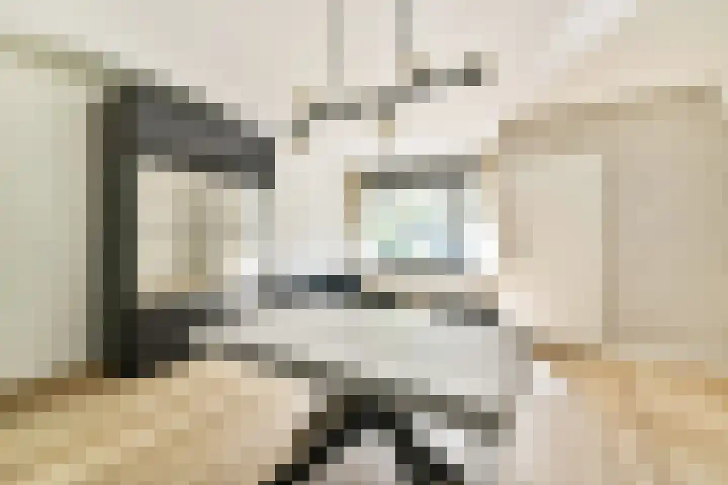 Olifantswerf 8 Amsterdam thumbnail 6