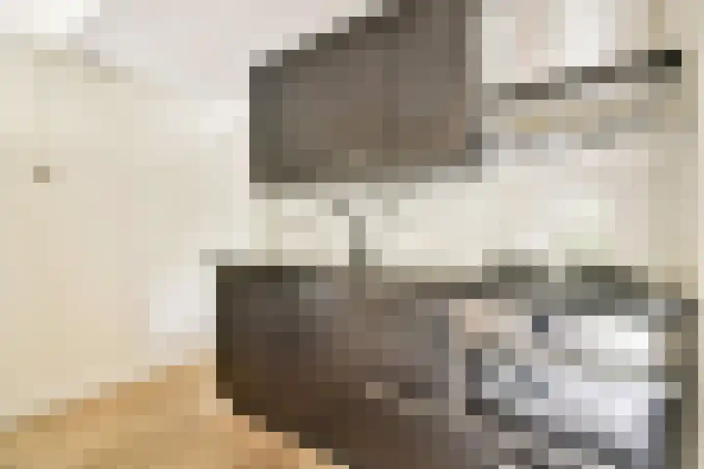 Olifantswerf 8 Amsterdam thumbnail 8