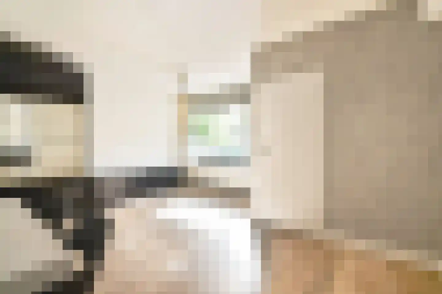 Olifantswerf 8 Amsterdam thumbnail 9