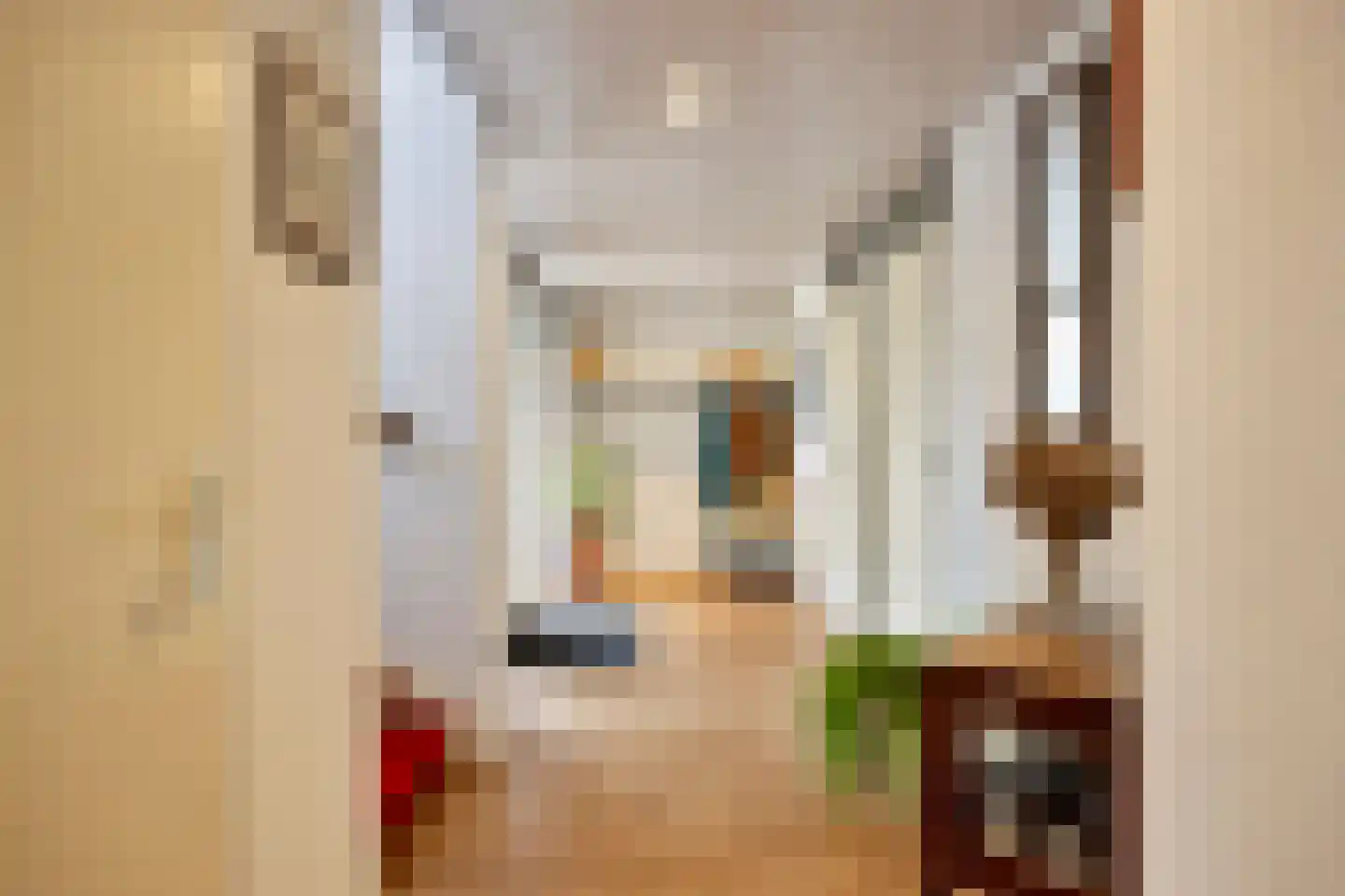 Olifiersstraat 6 Helmond thumbnail 11