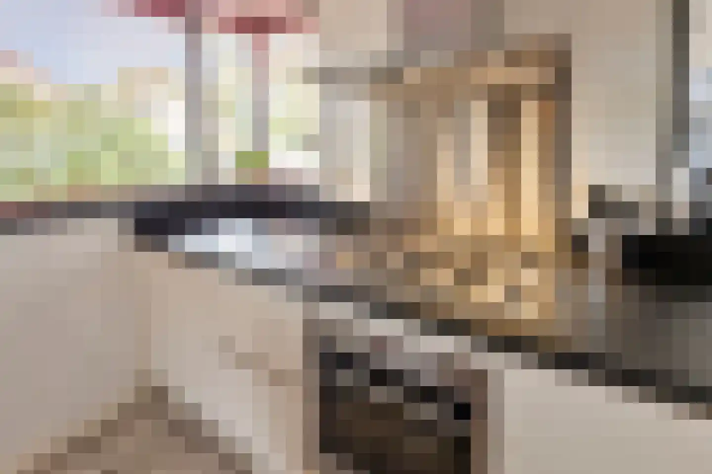 Olifiersstraat 6 Helmond thumbnail 18