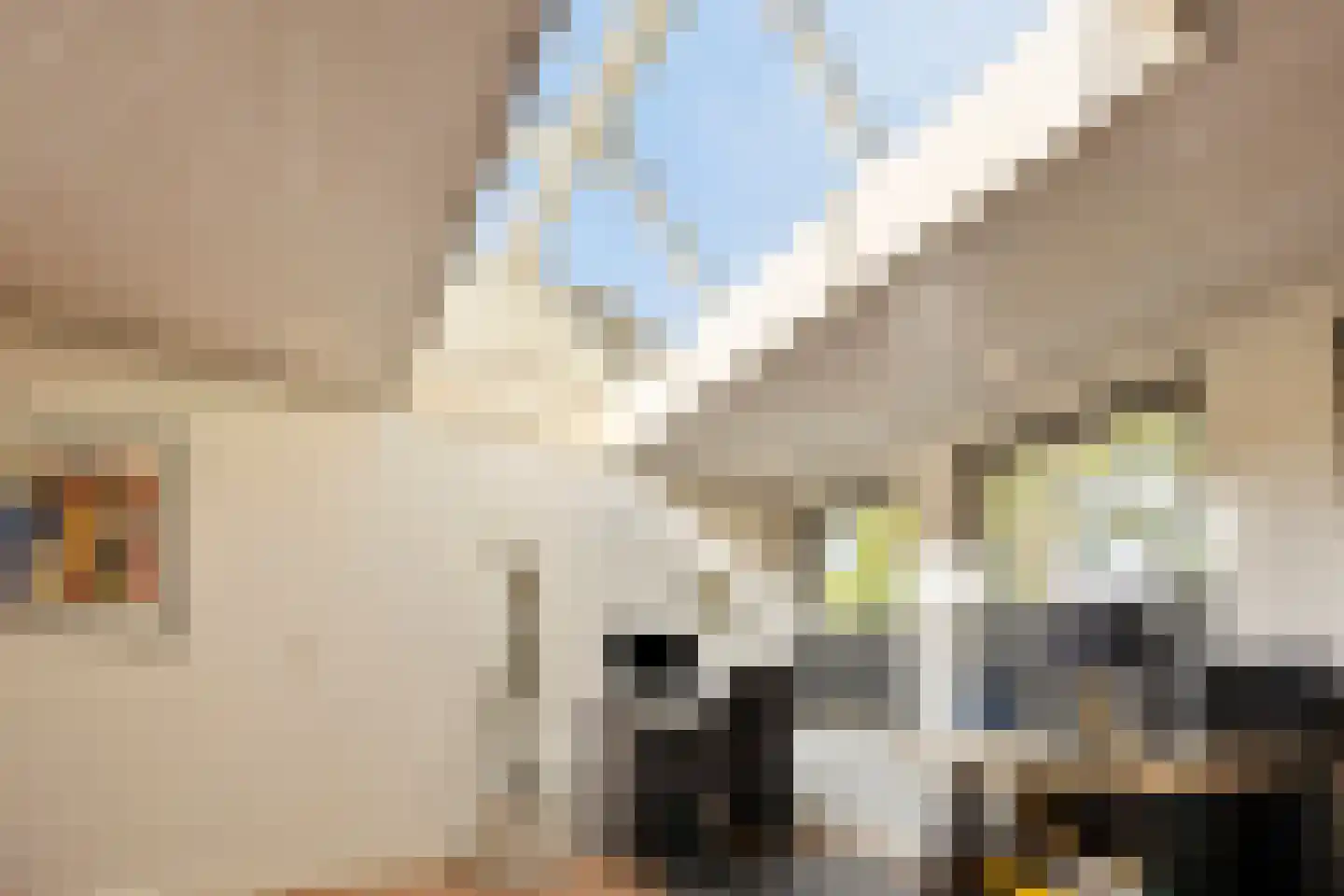 Olifiersstraat 6 Helmond thumbnail 24