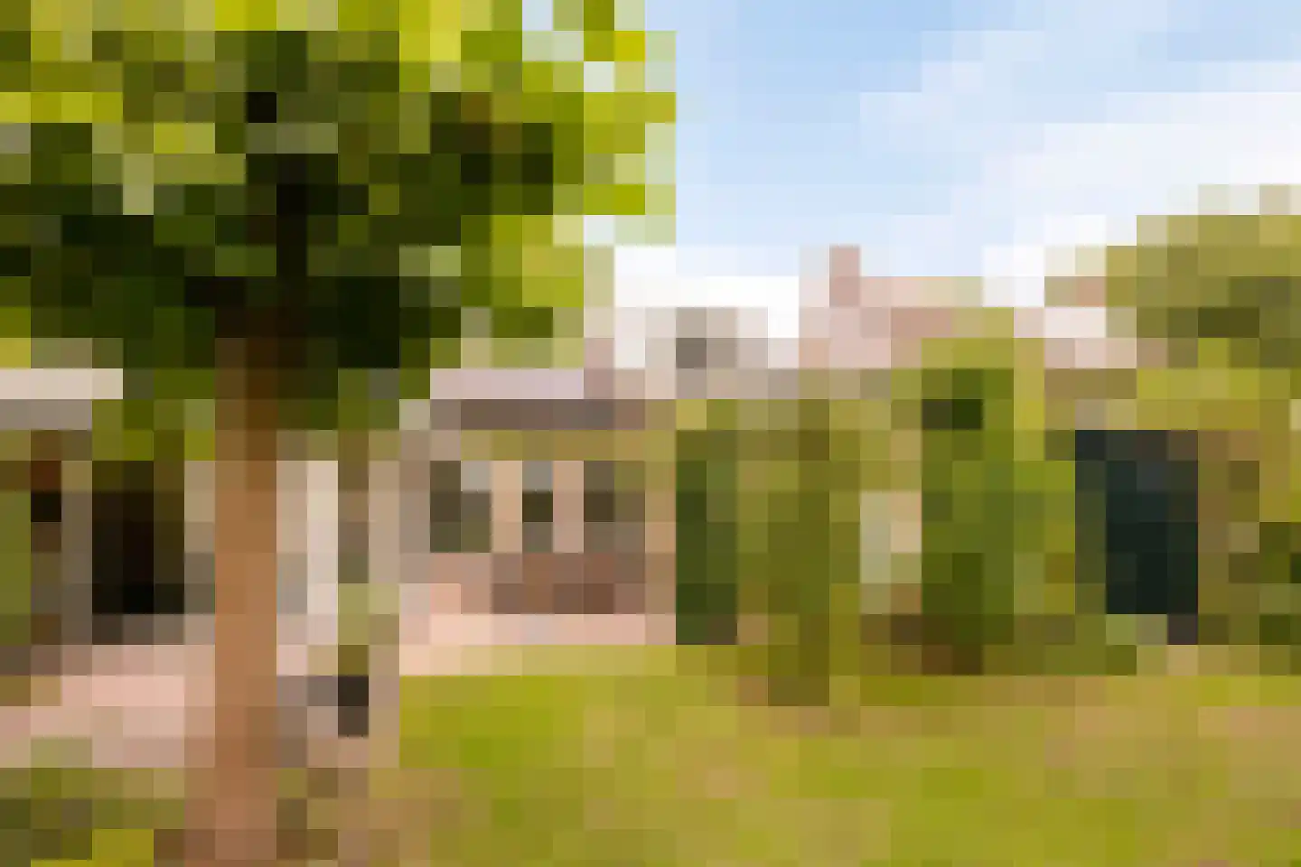 Olifiersstraat 6 Helmond thumbnail 5